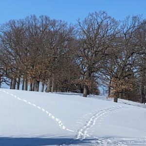 Meet your Posher, Ellen